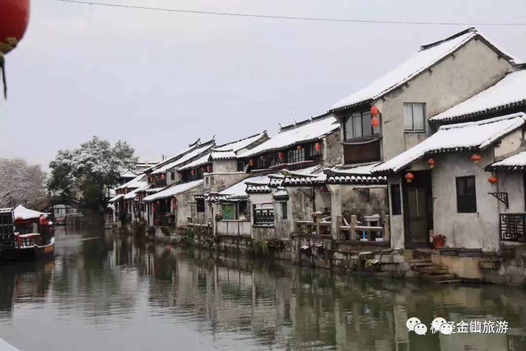 山乡鸽声响 致富路上忙